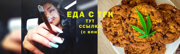 спиды Ельня