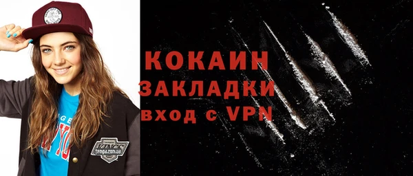 спиды Ельня