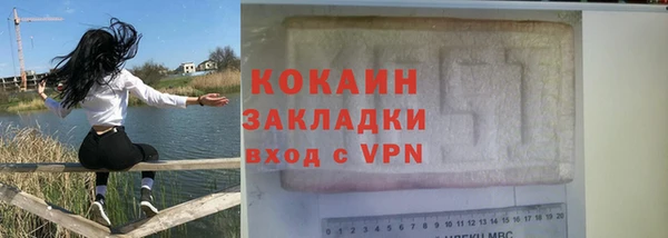 спиды Ельня