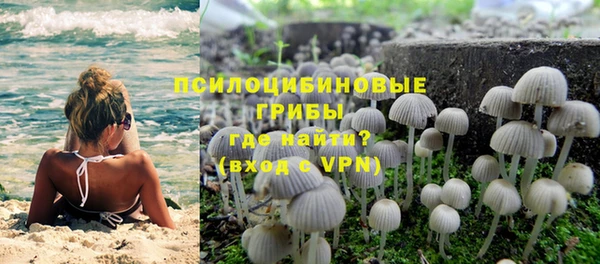 первитин Заводоуковск