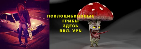 спиды Ельня