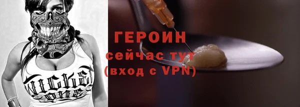 спиды Ельня