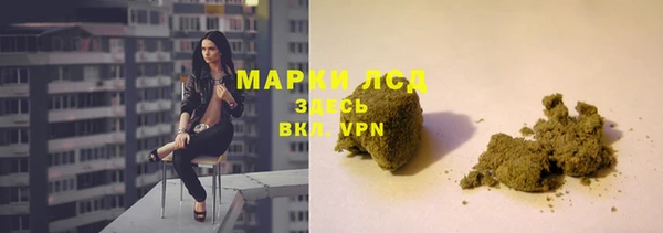 спиды Ельня