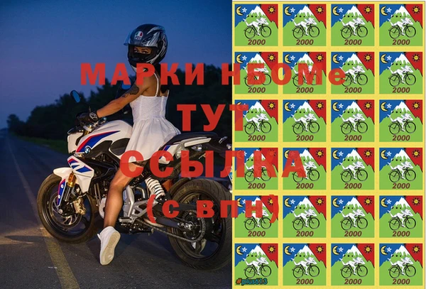 спиды Ельня