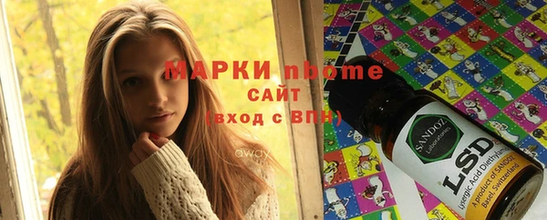 спиды Ельня