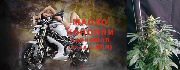 спиды Ельня