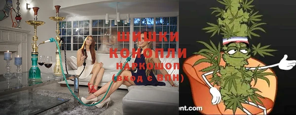спиды Ельня