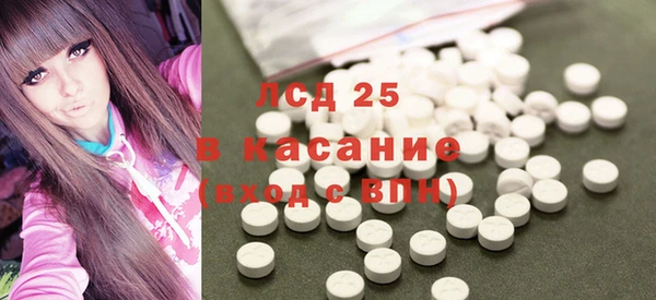 спиды Ельня